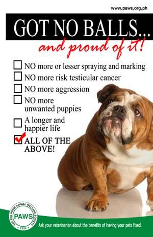 spay フィリピン|SpayPhilippines .